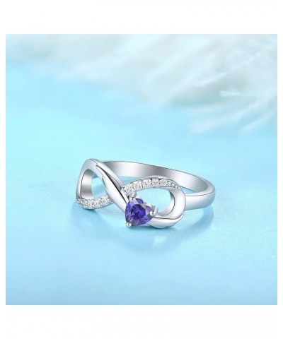 Infinity Promise Ring 925 Sterling Silver Angel Wings Heart Ring for Women Size 5-10 12-Tanzanite-Dec $27.50 Rings