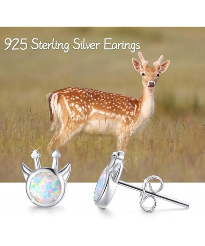 Cute Animal Colections Stud Earrings for Women Daughter 925 Sterling Silver Hypoallergenic Stud Earrings for Sensitive Ears G...