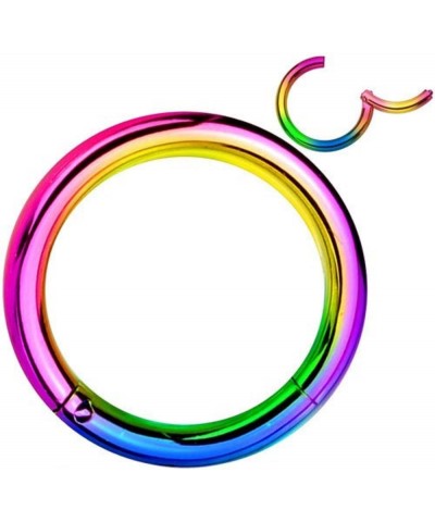 Pair of 316L Surgical Steel Hinged Segment WildKlass Rings 16g 12mm Rainbow $6.06 Body Jewelry