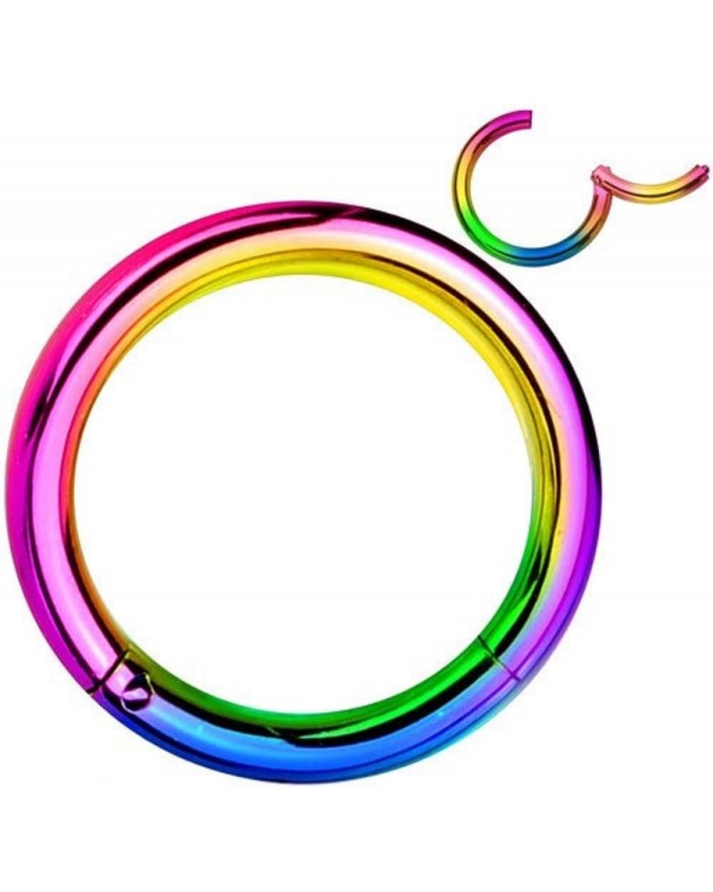 Pair of 316L Surgical Steel Hinged Segment WildKlass Rings 16g 12mm Rainbow $6.06 Body Jewelry