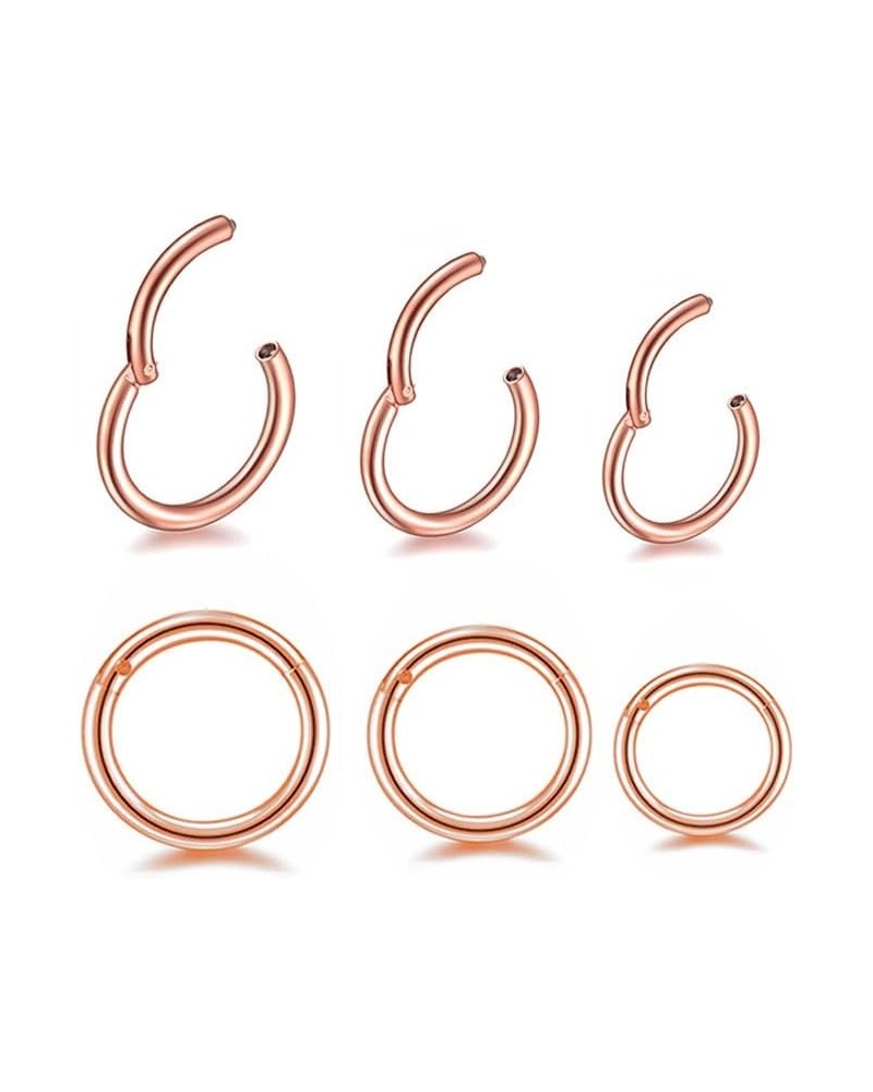 3-6 Pcs 20G 18G 16G Hypoallergenic Nose Rings 316l Surgical Steel Septum Jewelry Hinged Segment Ring Body Piercing Nose Hoop ...