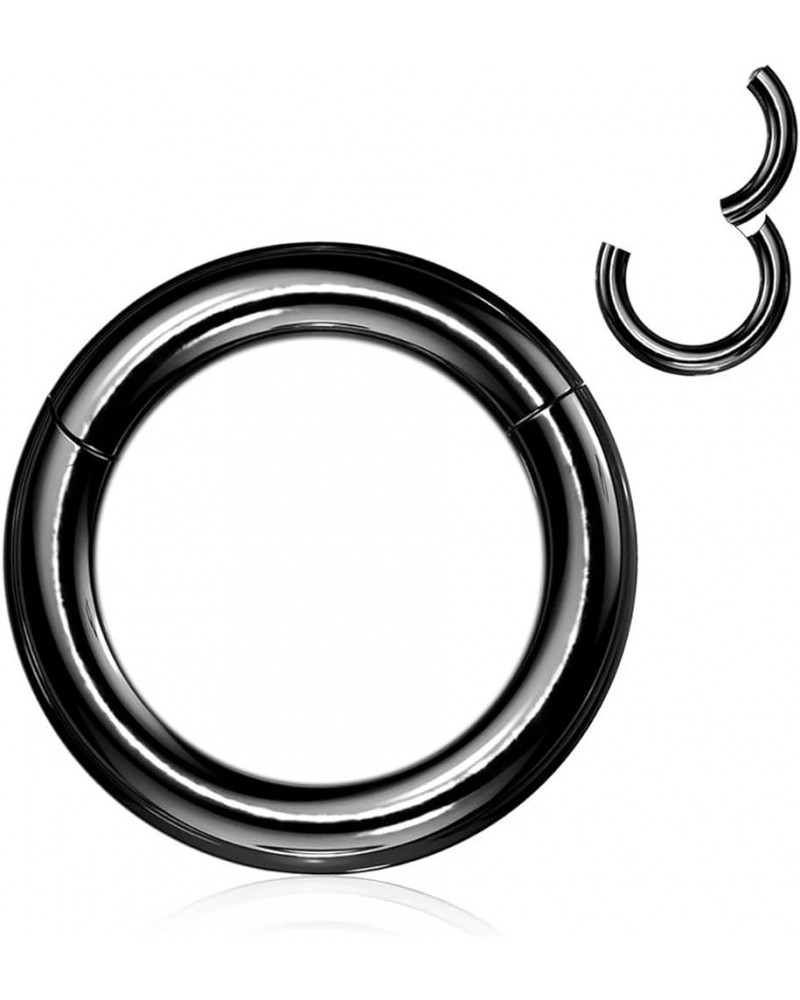 4G 6G 8G 10G 12G Clicker Rings 316L Surgical Steel Hinged Segment Hoop for Septum and Cartilage Earlobe Piercings, Diameter 1...