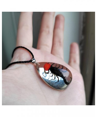 Resin Black Scorpion Necklace for Women Men Real Scorpion Sample Inserted Inside Resin Oval Transparent Pendant Holiday or Bi...