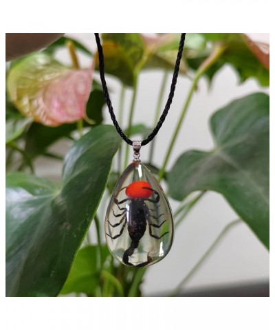 Resin Black Scorpion Necklace for Women Men Real Scorpion Sample Inserted Inside Resin Oval Transparent Pendant Holiday or Bi...