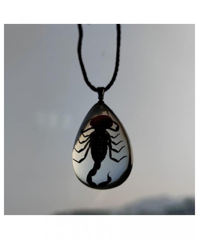 Resin Black Scorpion Necklace for Women Men Real Scorpion Sample Inserted Inside Resin Oval Transparent Pendant Holiday or Bi...