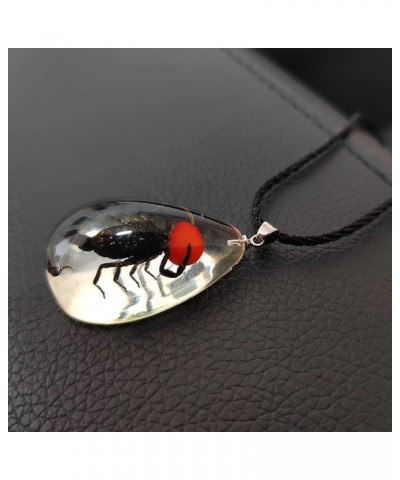 Resin Black Scorpion Necklace for Women Men Real Scorpion Sample Inserted Inside Resin Oval Transparent Pendant Holiday or Bi...