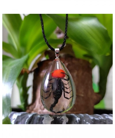 Resin Black Scorpion Necklace for Women Men Real Scorpion Sample Inserted Inside Resin Oval Transparent Pendant Holiday or Bi...