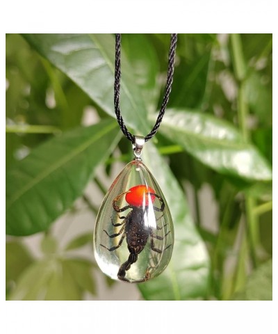 Resin Black Scorpion Necklace for Women Men Real Scorpion Sample Inserted Inside Resin Oval Transparent Pendant Holiday or Bi...