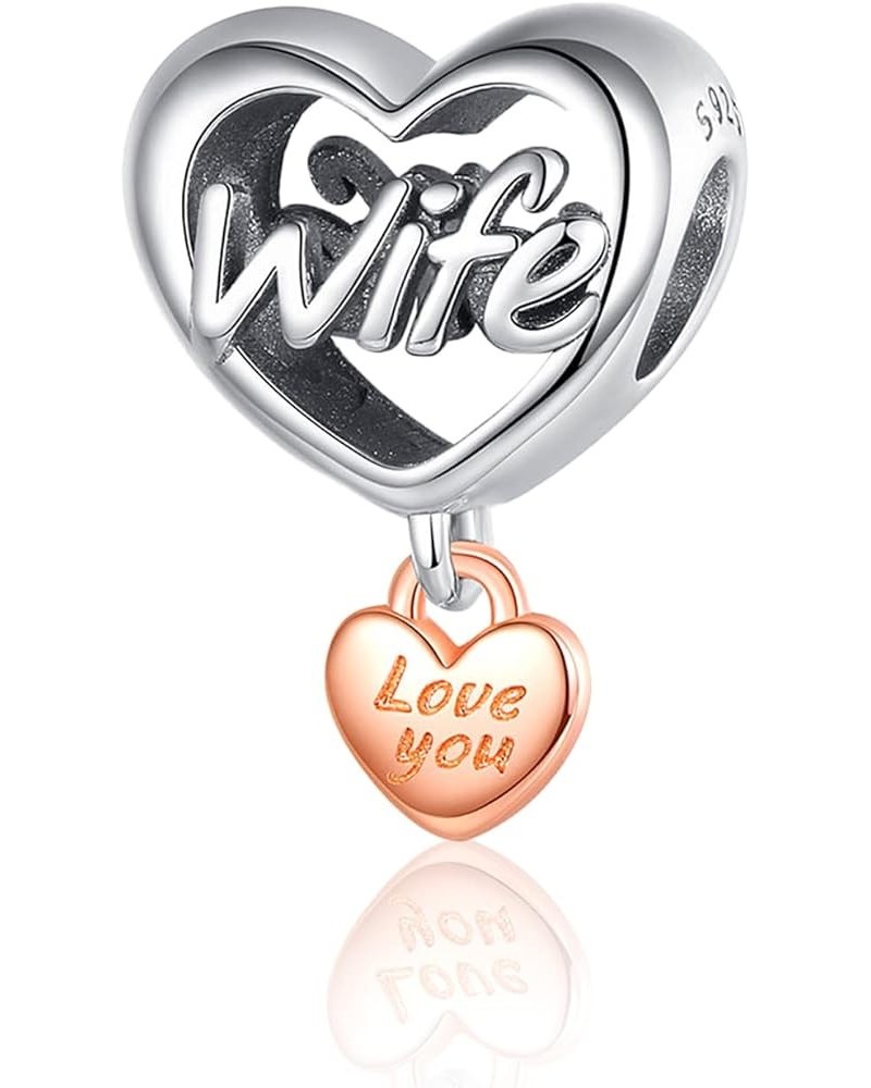 925 Sterling Silver Fmaily Love Series NO2 Charms for Bracelets and Necklaces Infitiny Family Love Dangle Pendants Beads Char...