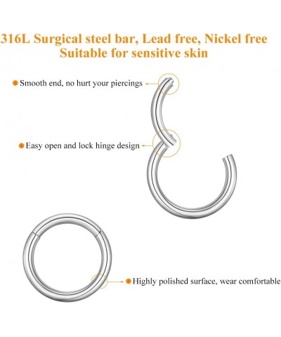 4G 6G 8G 10G 12G Clicker Rings 316L Surgical Steel Hinged Segment Hoop for Septum and Cartilage Earlobe Piercings, Diameter 1...