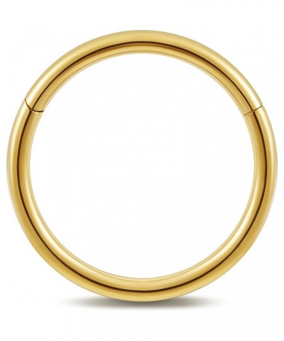 ASTM F136 Titanium Nose rings Piercing Jewelry Hoop 16G 18G 20G 6mm 8mm Gold 16G(1.2mm), 1/2"(12mm) $7.79 Others