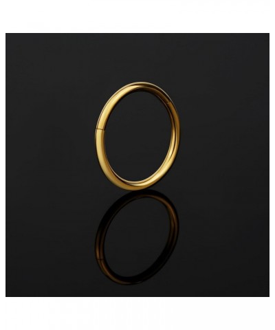 ASTM F136 Titanium Nose rings Piercing Jewelry Hoop 16G 18G 20G 6mm 8mm Gold 16G(1.2mm), 1/2"(12mm) $7.79 Others